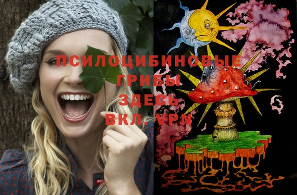 ешки Бронницы