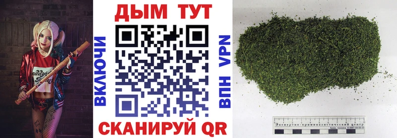 Конопля Ganja  Купить где  Болгар 